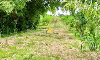 Imagem: Terreno no Centro de Rio dos Cedros
