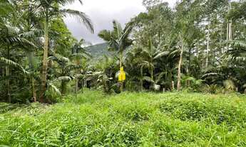 Imagem: Terreno em Rio Cunha em Rio dos Cedros