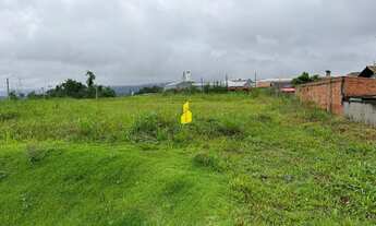 Imagem 3: Terreno à venda no bairro Quintino - Timbó/SC