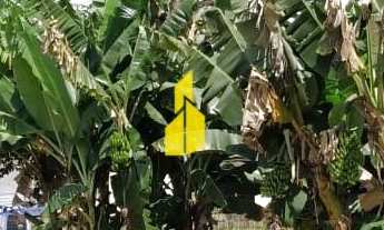 Imagem 3: Terreno com 20 metros de frente no bairro Imigrantes à Venda em Timbó