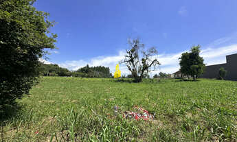 Imagem 5: Terreno no Bairro das Nações