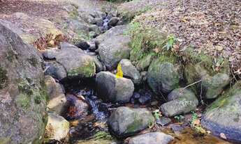 Imagem 3: Sítio à venda no bairro Ribeirão Areia - Pomerode/SC