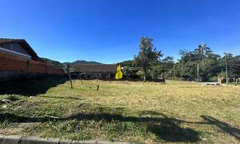 Imagem 3: Terreno no bairro Quintino