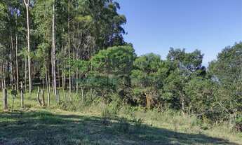 Imagem 7: Terreno à venda no bairro Ribeirão Pequeno - Laguna/SC