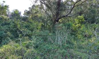 Imagem 6: Terreno à venda no bairro Ribeirão Pequeno - Laguna/SC