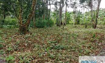 Imagem 7: Sítio com 27 hectares com fonte de agua servindo para indústria na área urbana de Benevide