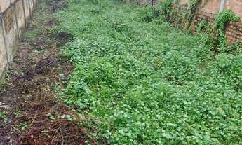 Imagem 6: Terreno medindo 15.000 metros pronto p construir na Pa 242 em frente ao posto Bom Jesus Ca