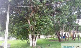 Imagem 7: Sítio à venda no bairro Centro - Benevides/PA