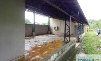 Imagem 5: Sítio à venda no bairro Centro - Benevides/PA