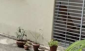 Imagem: SIQUEIRA VENDE CASA COM 393m² EM MASSANGANA