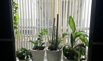 Imagem 3: SIQUEIRA VENDE: APARTAMENTO COM 03 QUARTOS + DEP EM BOA VIAGEM