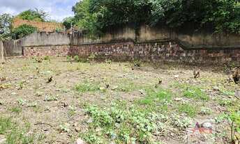 Imagem 7: Terreno À Venda - Bairro Pimenta - Crato (CE