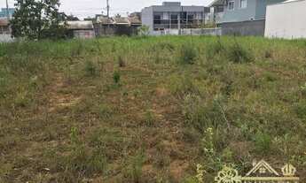 Imagem 4: Terreno pronto para construir