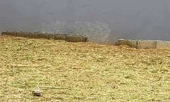 Imagem 5: Terreno próximo a praia da Enseada