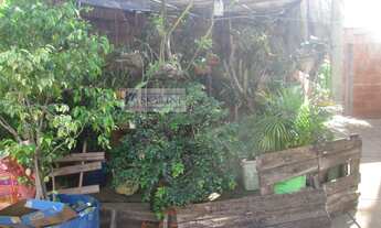 Imagem 3: Casa Térrea para Venda em Residencial Nato Vetorasso São José do Rio Preto-SP