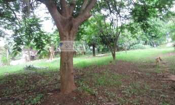 Imagem 4: Chácara para Venda em Estância Primavera (Zona Rural) São José do Rio Preto-SP