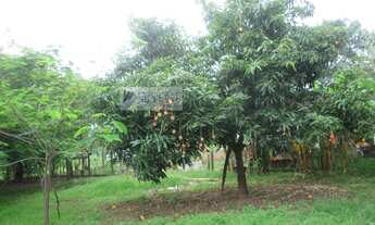 Imagem 5: Chácara para Venda em Estância Primavera (Zona Rural) São José do Rio Preto-SP