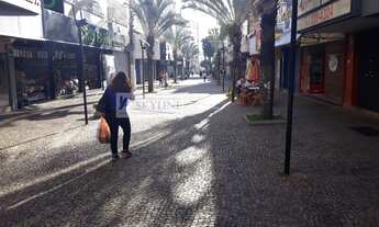 Imagem 3: Apartamento Padrão para Venda em Centro São José do Rio Preto-SP