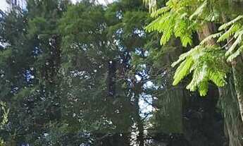 Imagem: Venda apartamento 03 dormitórios com vaga