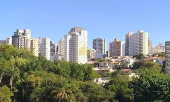 Imagem 4: Linked perdizes 60m