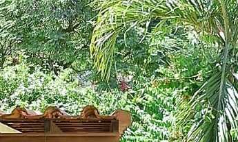 Imagem: AZALEIA PARK, 4 dormitórios na Rua Joaquim