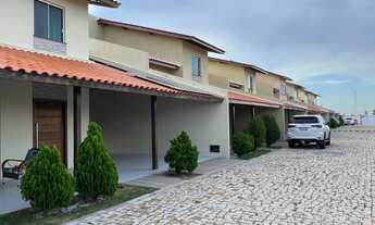 Imagem 2: Casa no coqueiro