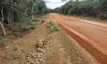 Imagem 2: Fazenda á venda Piracuruca/PI