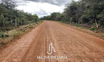 Imagem: Fazenda á venda Piracuruca/PI