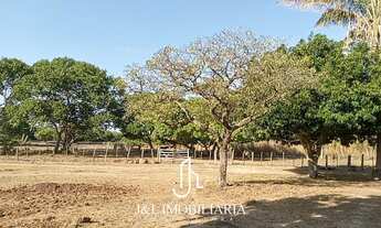Imagem 7: Fazenda em Centro, José de Freitas/PI