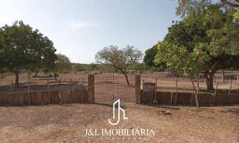 Imagem 4: Fazenda em Centro, José de Freitas/PI