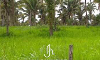 Imagem: Terras á venda - São Francisco do Maranhão/MA