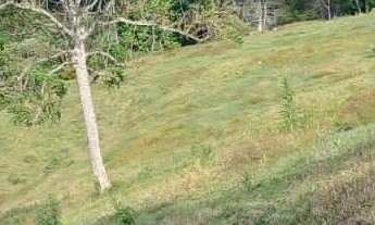 Imagem 7: Sítio à venda no bairro Centro - Alfredo Wagner/SC