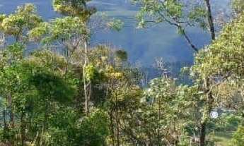 Imagem 5: Sítio à venda no bairro Centro - Alfredo Wagner/SC