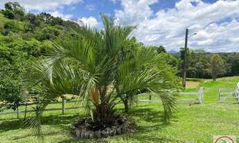 Imagem 4: Sítio à venda no bairro Centro - Alfredo Wagner/SC