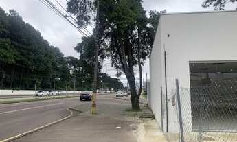 Imagem 4: Loja - Avenida Marechal Floriano Peixoto, 9431