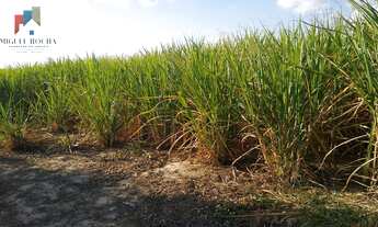 Imagem: Sítio a venda em Tatuí SP