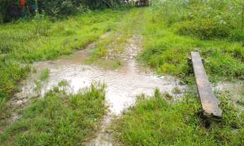 Imagem 2: Sítio em Centro, Quadra/SP