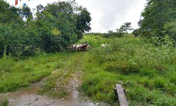 Imagem 4: Sítio em Centro, Quadra/SP