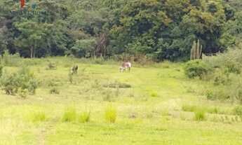 Imagem 3: Sítio em Centro, Quadra/SP