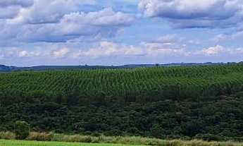 Imagem 3: Fazenda a venda São Miguel Arcanjo SP