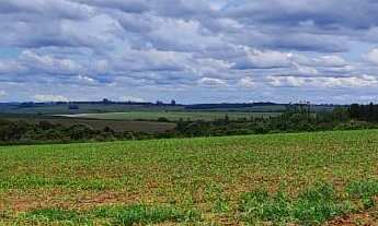 Imagem 2: Fazenda a venda São Miguel Arcanjo SP