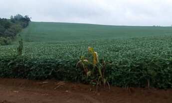 Imagem: Fazenda região Itapetininga SP