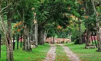 Imagem 7: Fazenda região de Sorocaba SP