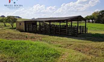 Imagem 5: Sítio Haras em Tatuí SP