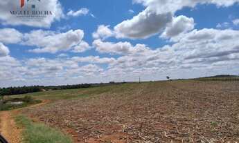 Imagem 7: Sítio em Centro, Tatuí/SP