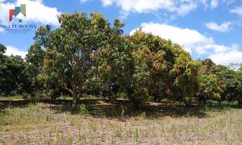 Imagem 5: Sítio em Centro, Tatuí/SP