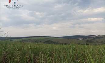 Imagem: Fazenda Região de Piracicaba SP
