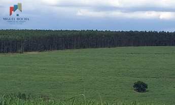 Imagem 6: Fazenda Região de Piracicaba SP
