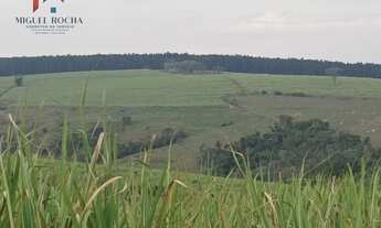 Imagem 3: Fazenda Região de Piracicaba SP