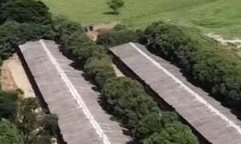 Imagem 4: Sítio em Tatuí SP